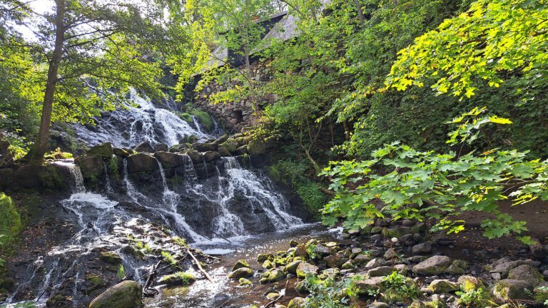 Mehr über den Artikel erfahren Röttle Vattenfall und Wikingergräber #2
