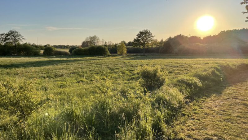hinterm Campingplatz Jarplund