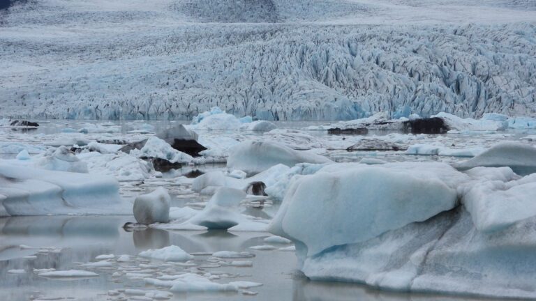 Mehr über den Artikel erfahren Gletscher, schwimmende Eisbrocken und Diamanten am Strand #24