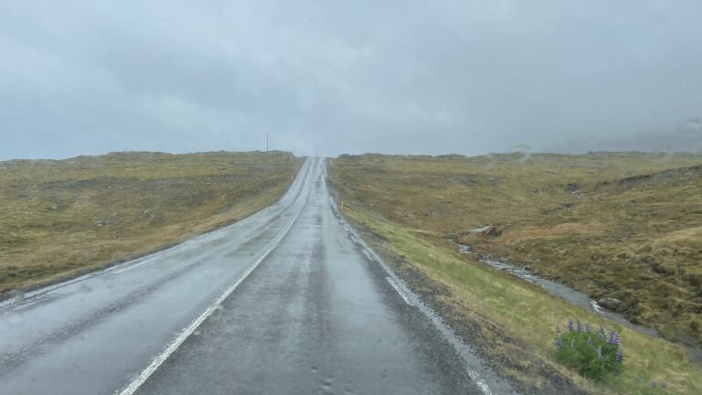 Mehr über den Artikel erfahren Regen, Regen, Regen und kalt, weil Sonne kann ja Jeder 😊 #23
