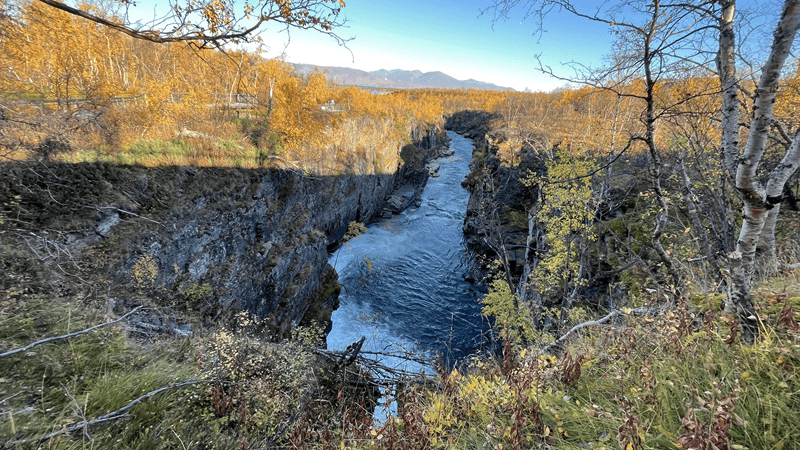 Mehr über den Artikel erfahren Und noch einmal Abisko #42