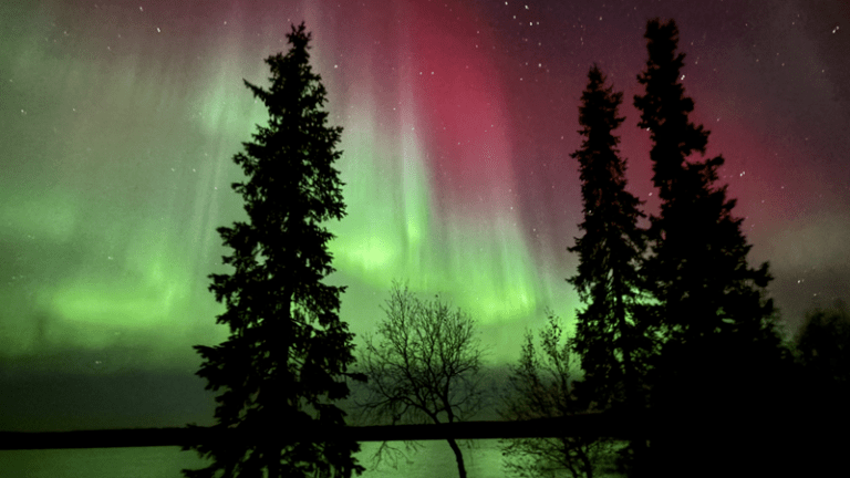 Mehr über den Artikel erfahren Alte Spuren, der Umzug und Polarlichter #40