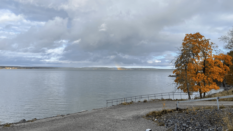 Du betrachtest gerade Schafe, Ziegen und Nebel #46